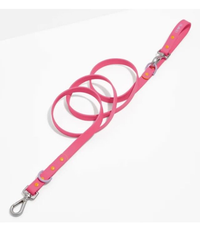 Cosmopolitan Standard Leash