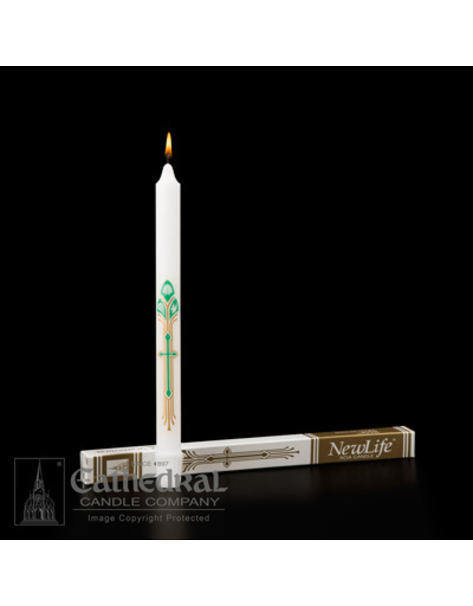 Cathedral Candle OCIA New Life Candle