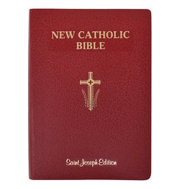 Catholic Book Publishing NCB (New Catholic Bible), Giant Print - Red Imitation Leather