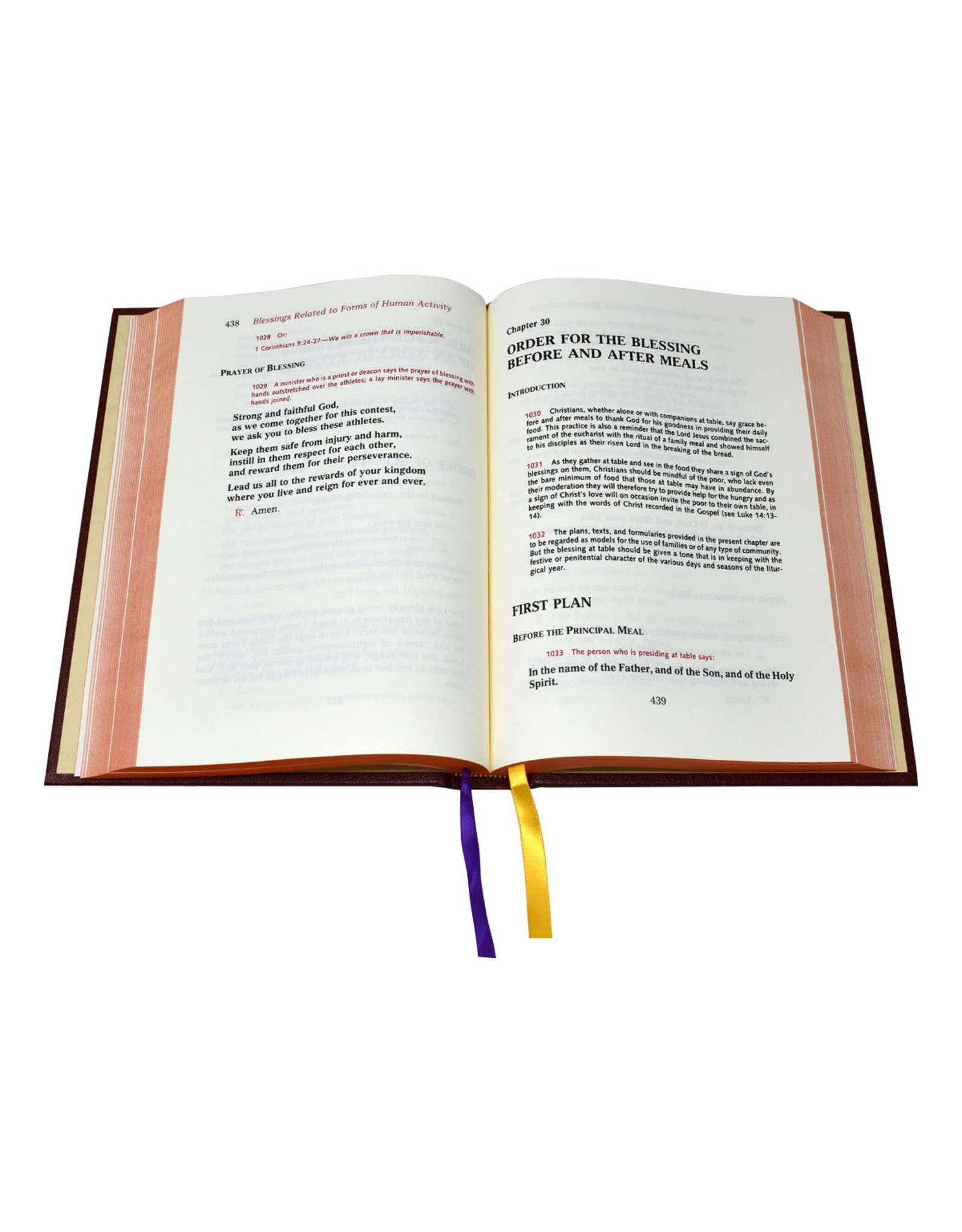 Catholic Book Publishing Book of Blessings