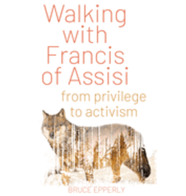 Walking with Francis of Assisi from Privilege to Activism