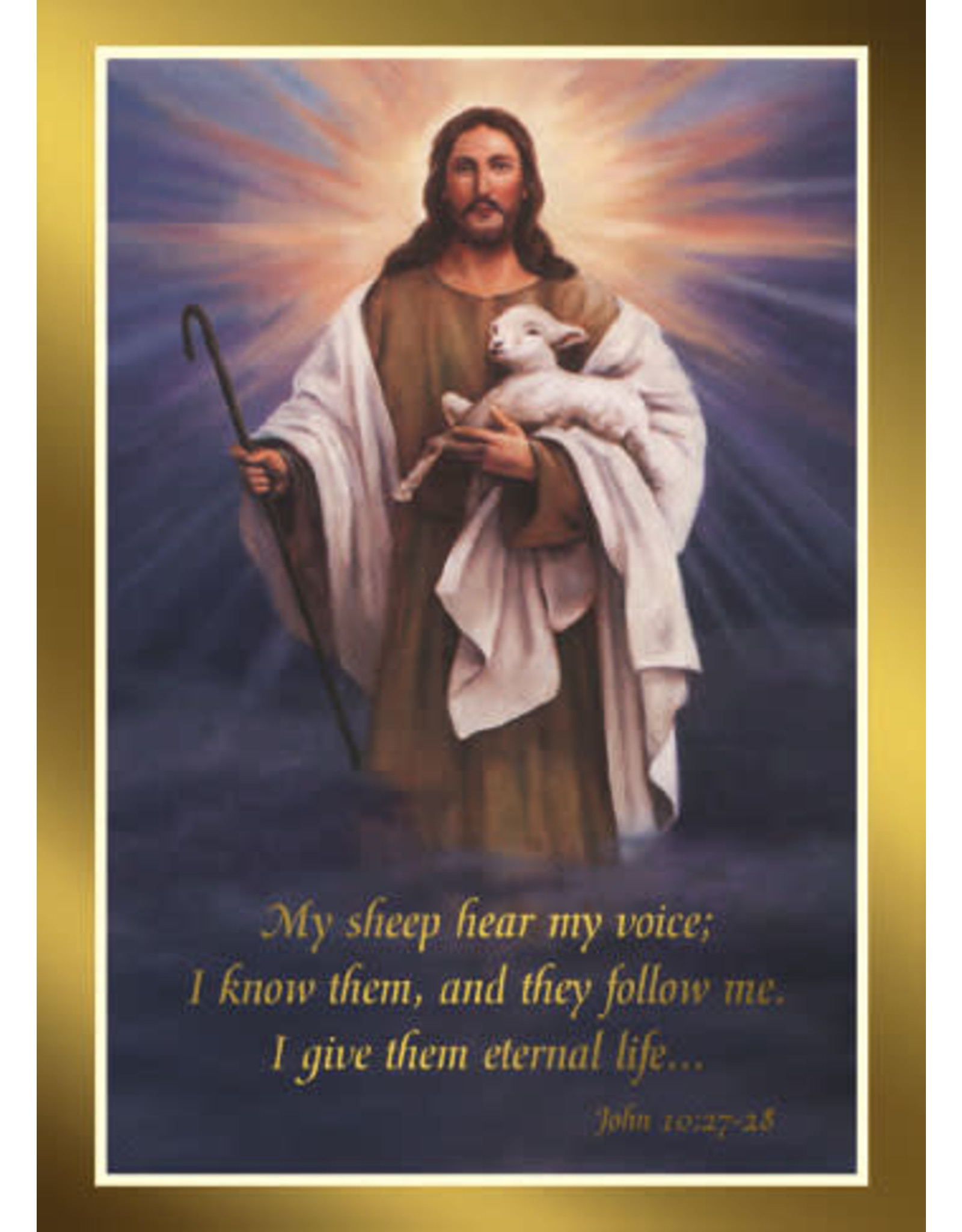 Barton Cotton Mass Cards - Deceased - Shepherd (100)