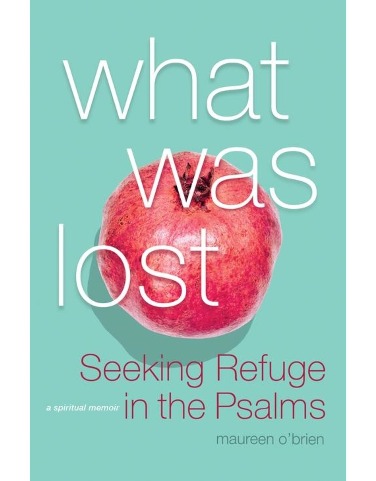 Franciscan Media What Was Lost: Seeking Refuge in the Psalms
