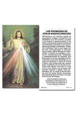 Hirten Holy Cards - Divina Misericordia (100)