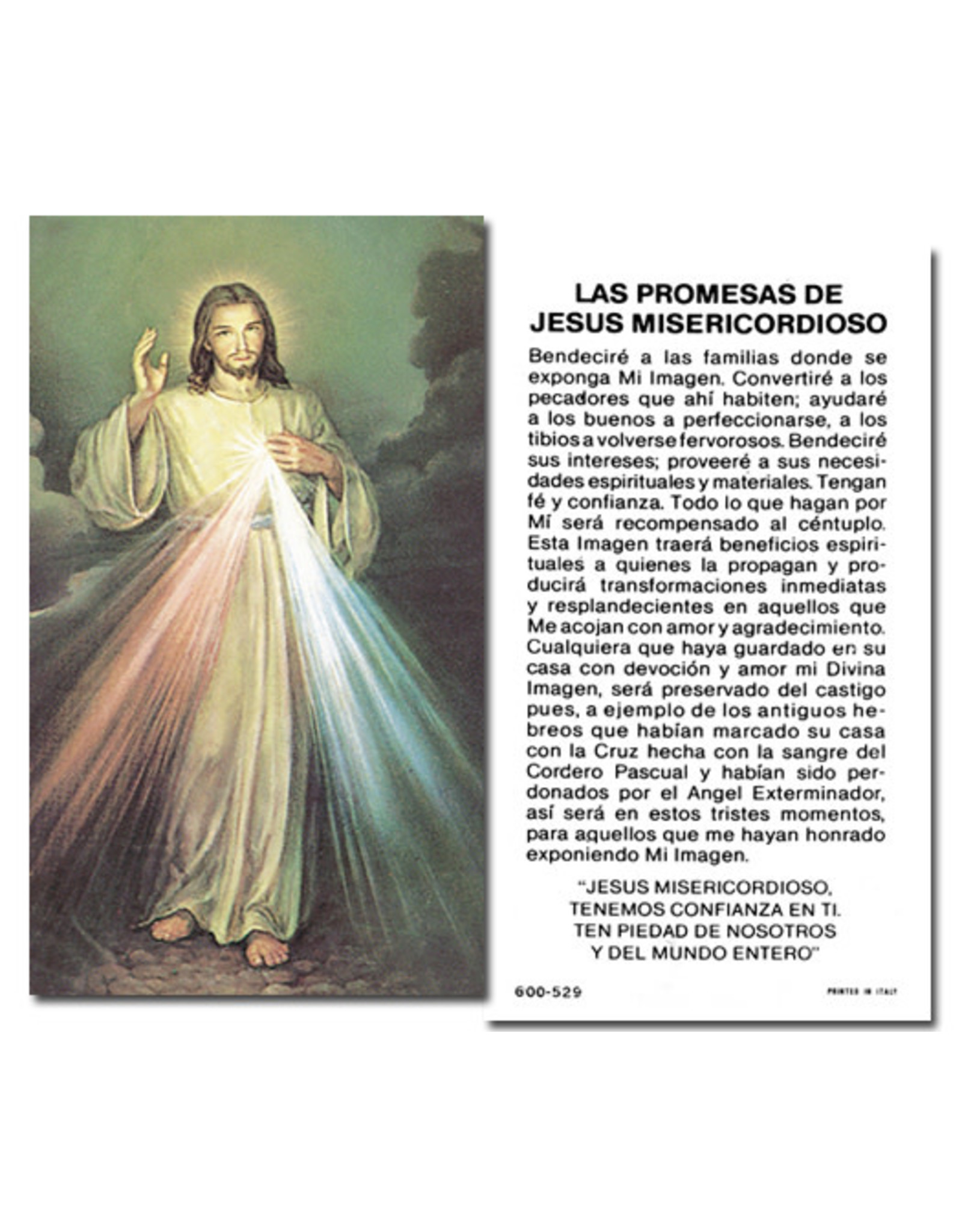 Hirten Holy Cards - Divina Misericordia (100)