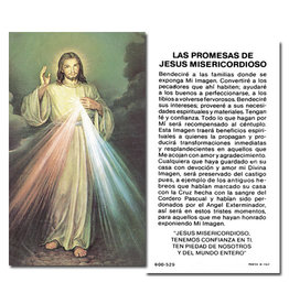 Hirten Holy Cards - Divina Misericordia (100)