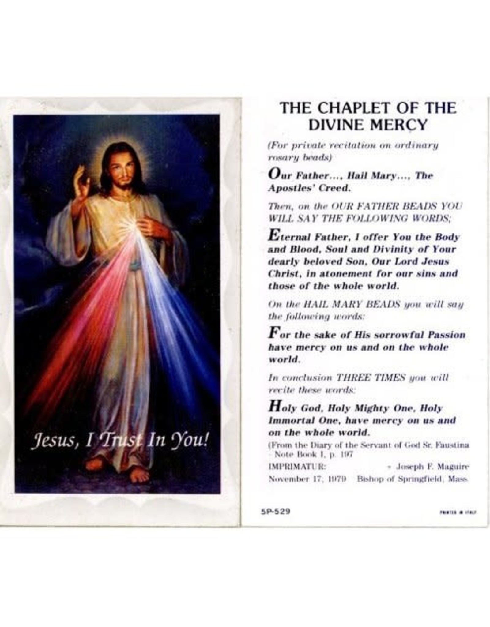 Hirten Holy Cards - Divine Mercy (100)