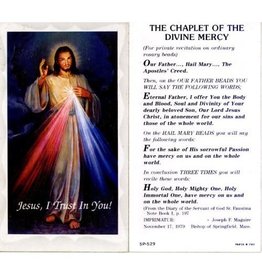Hirten Holy Cards - Divine Mercy (100)