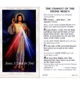 Holy Cards - Divine Mercy (100)