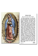 Holy Cards - Nuestra Señora de Guadalupe (100)