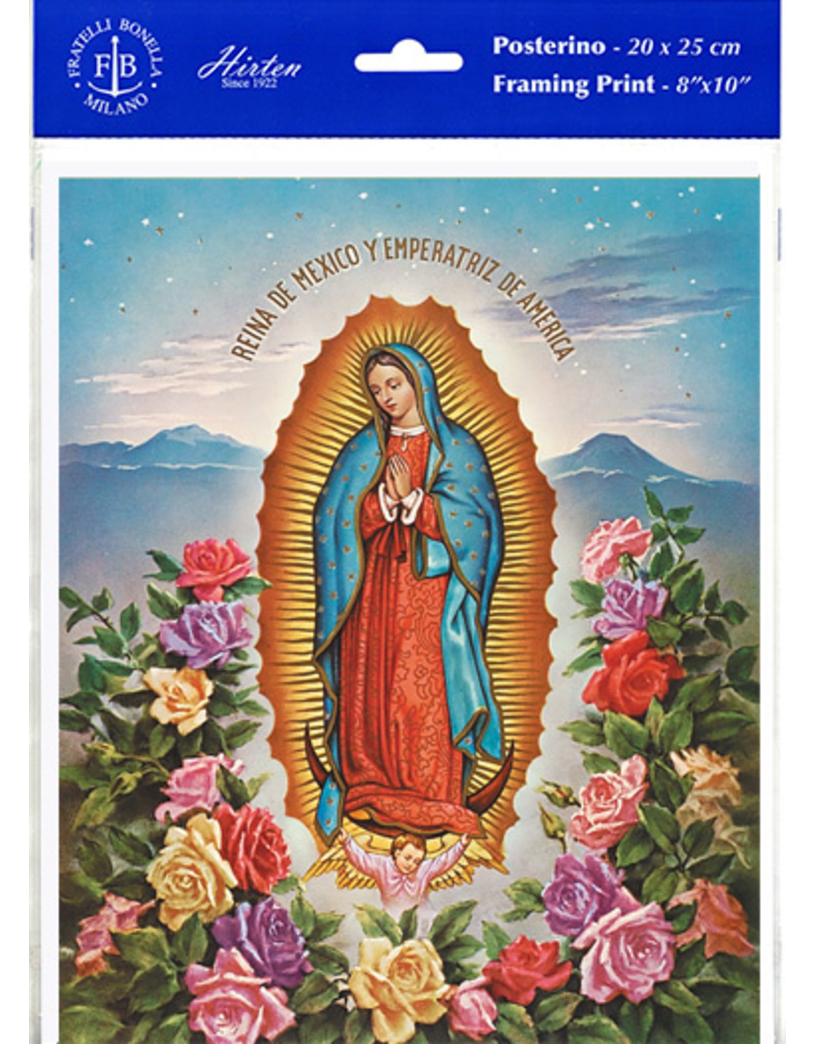 8x10 Print - Various Subjects