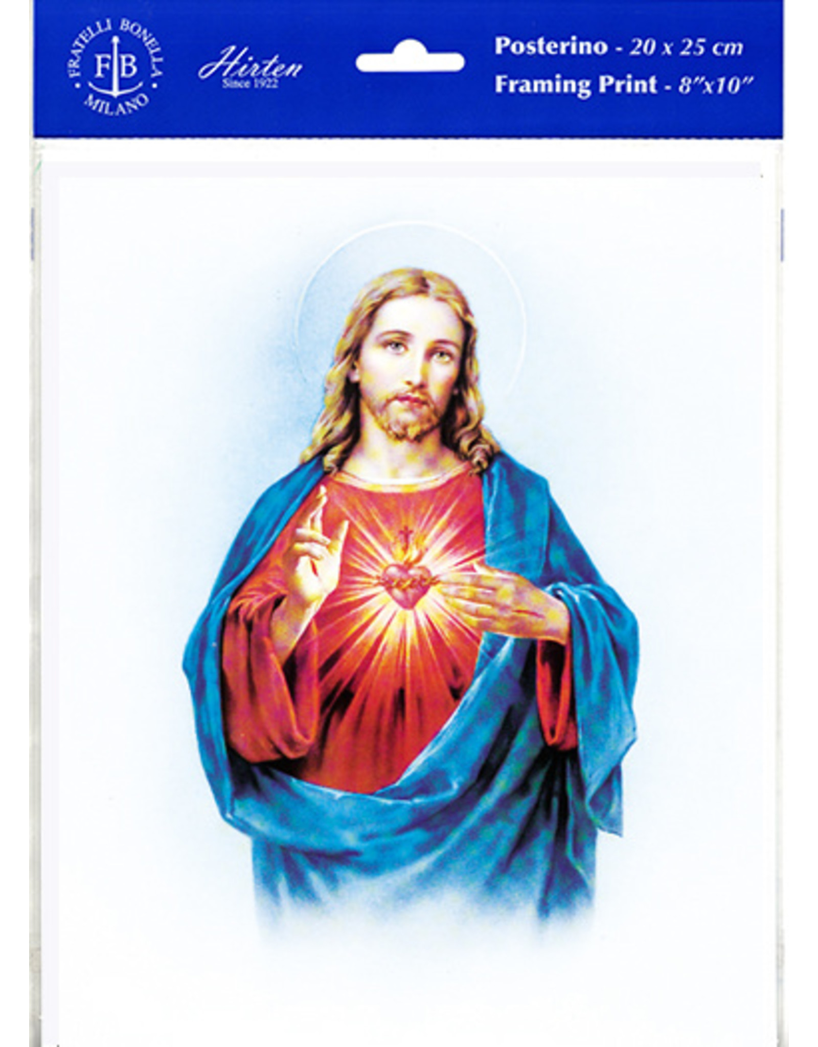 8x10 Print - Various Subjects