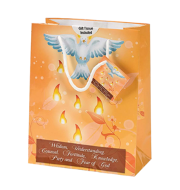 Lumen Mundi Confirmation Gift Bag - Orange (Small)