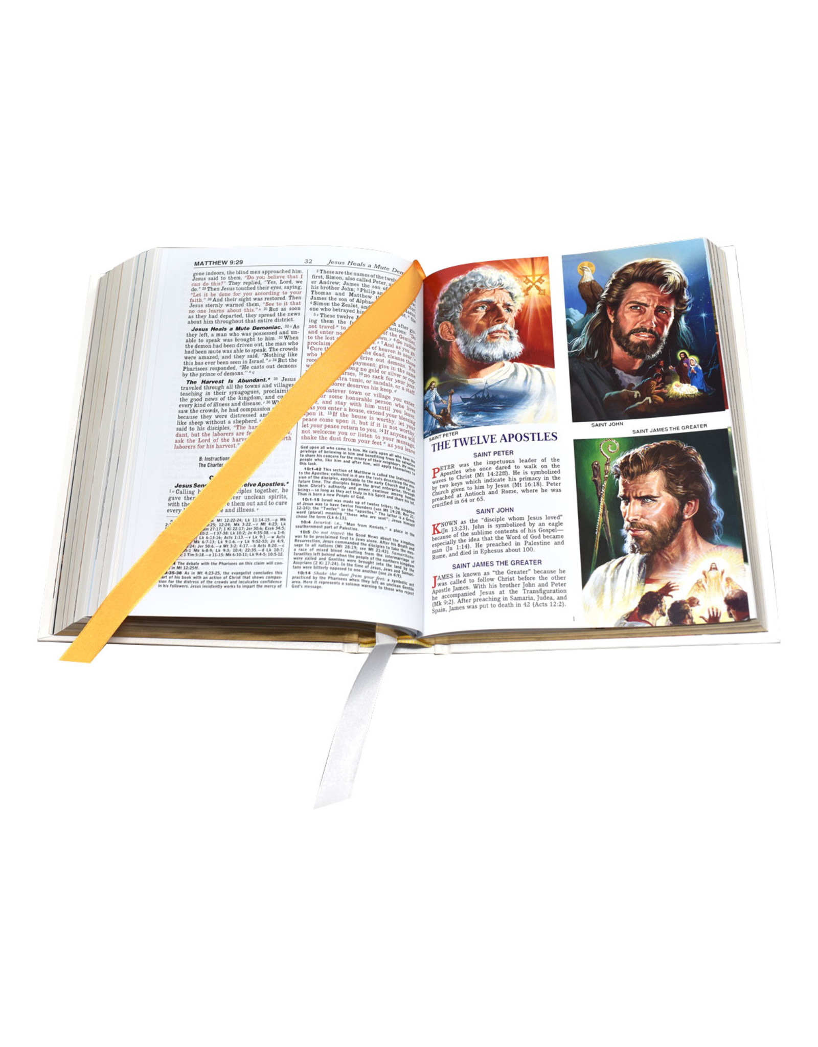 Catholic Book Publishing New Catholic Bible Family Edition - Black, Burgundy or White