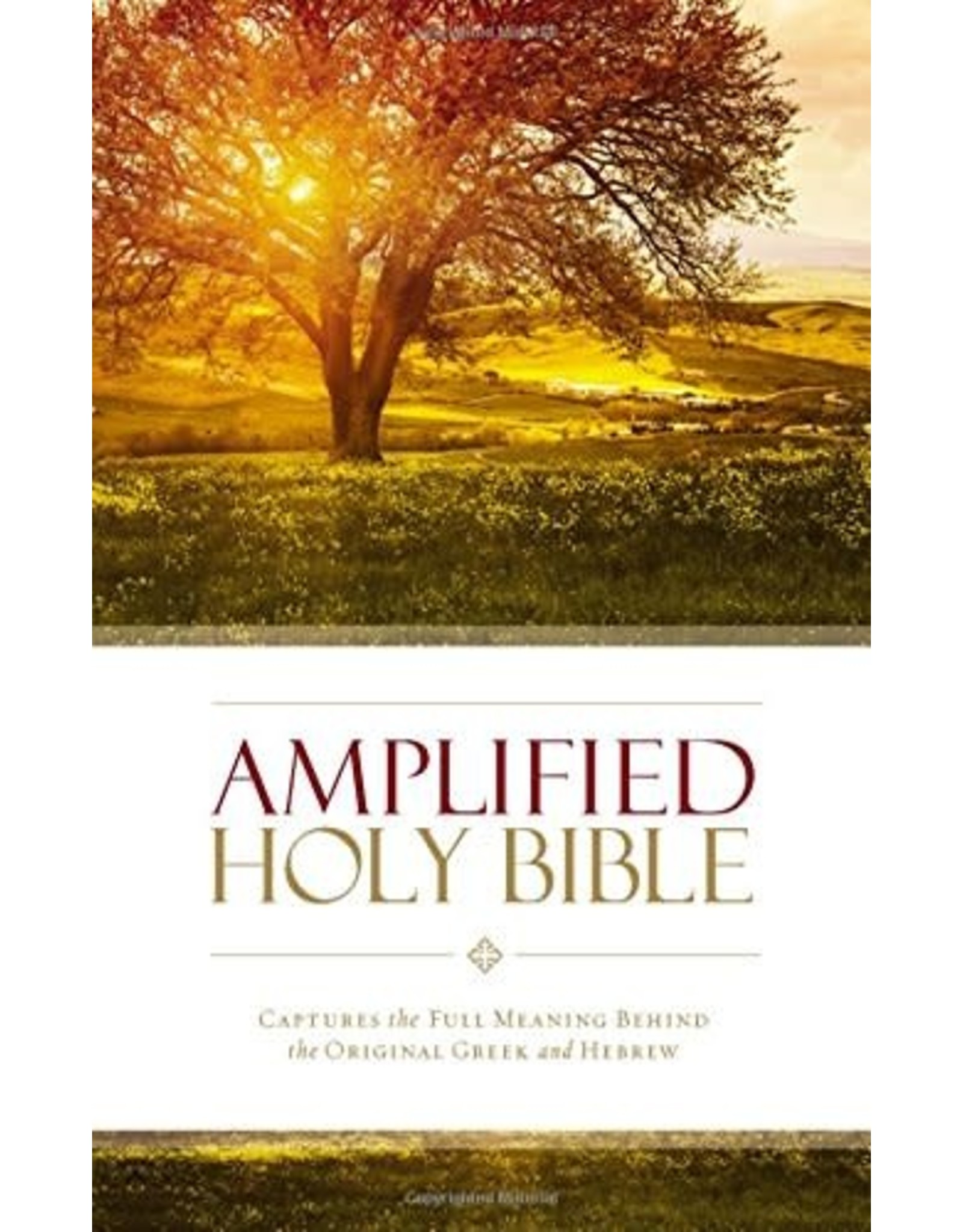 Zondervan Amplified Bible (AMP) Large Print