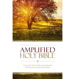 Zondervan Amplified Bible (AMP) Large Print