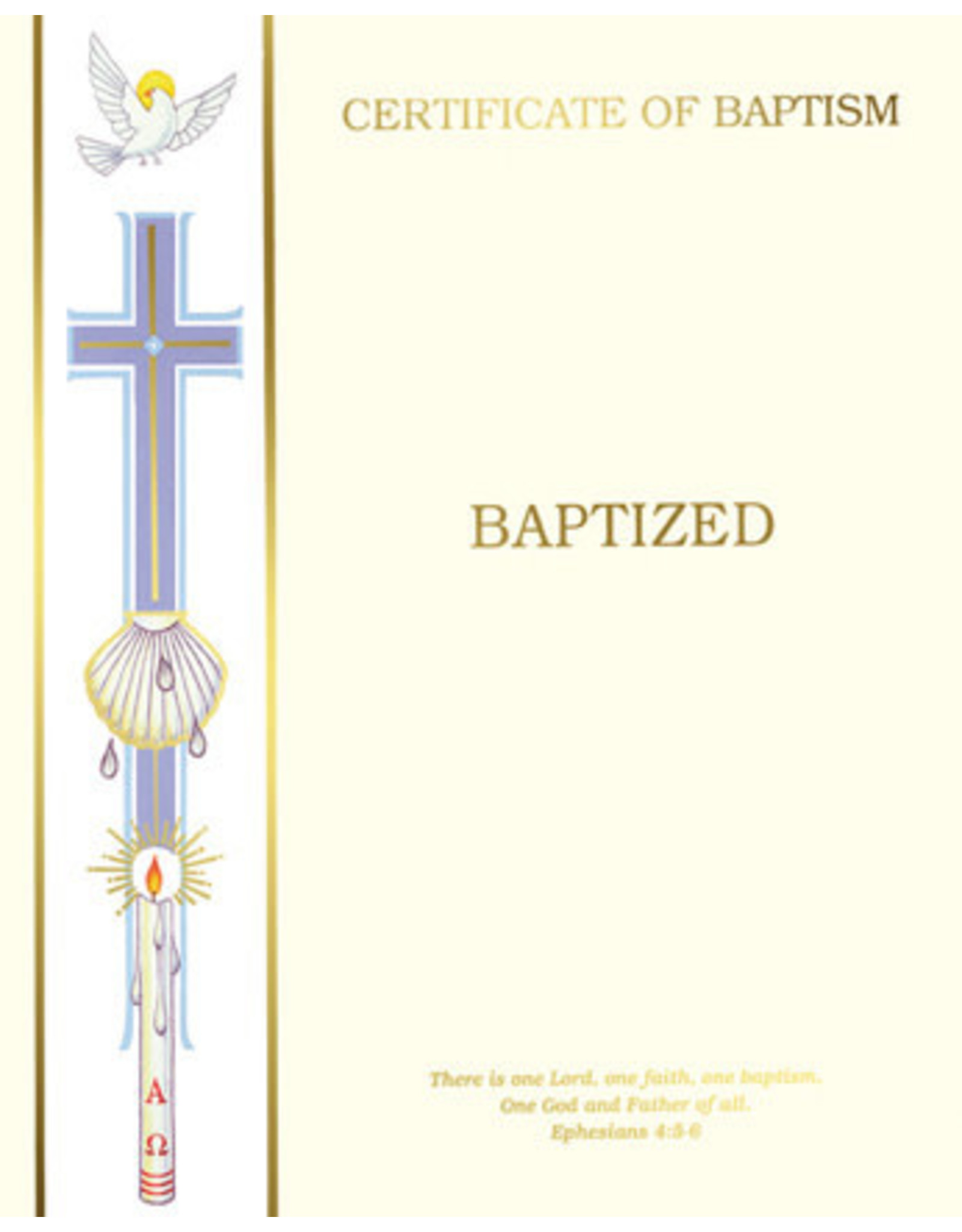 Barton Cotton Certificates - Baptism, Create-Your-Own (50)