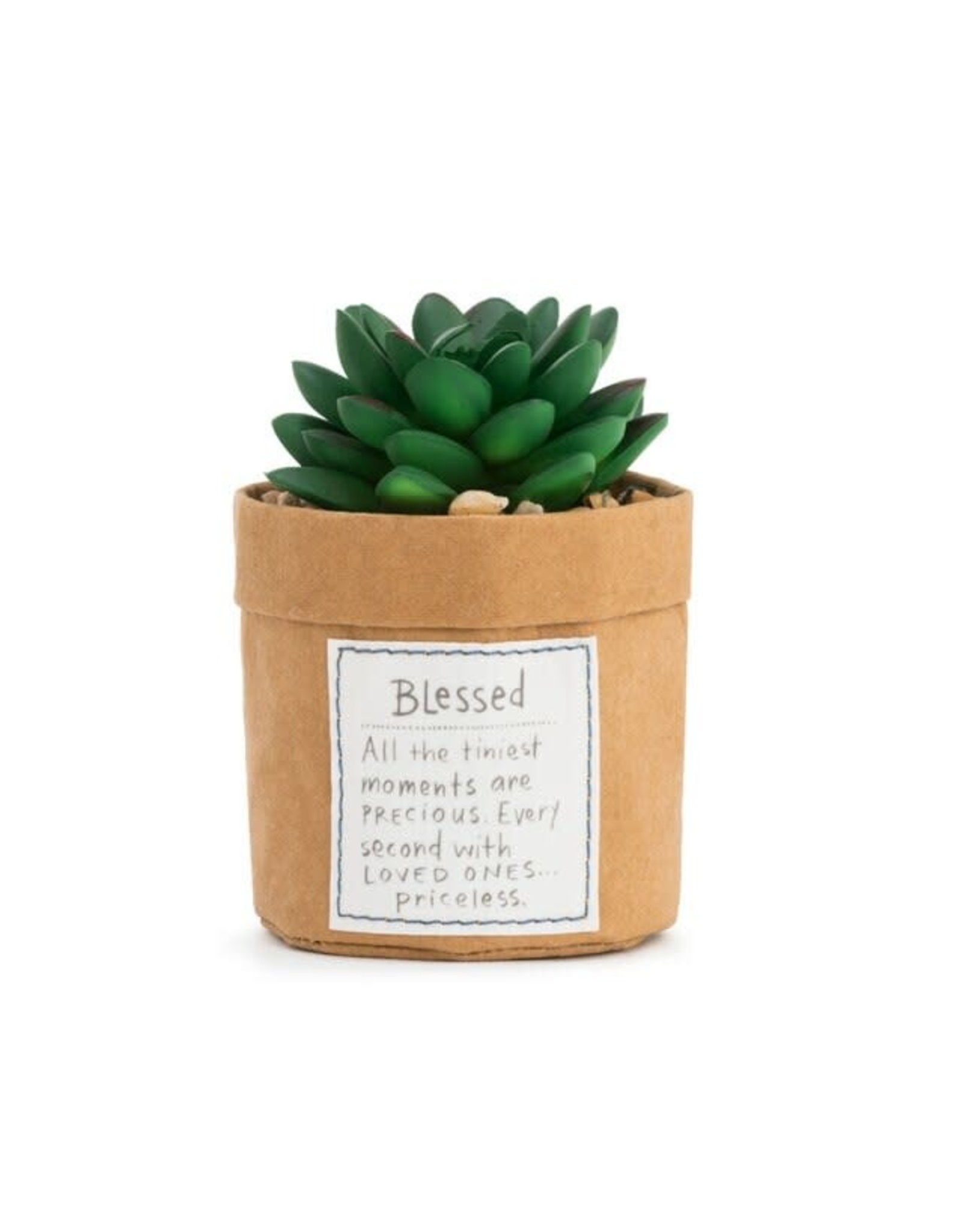 Demdaco Plant Kindness - Blessed