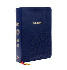 Great Adventure Catholic Bible - Leather (out of stock with no firm restock date)