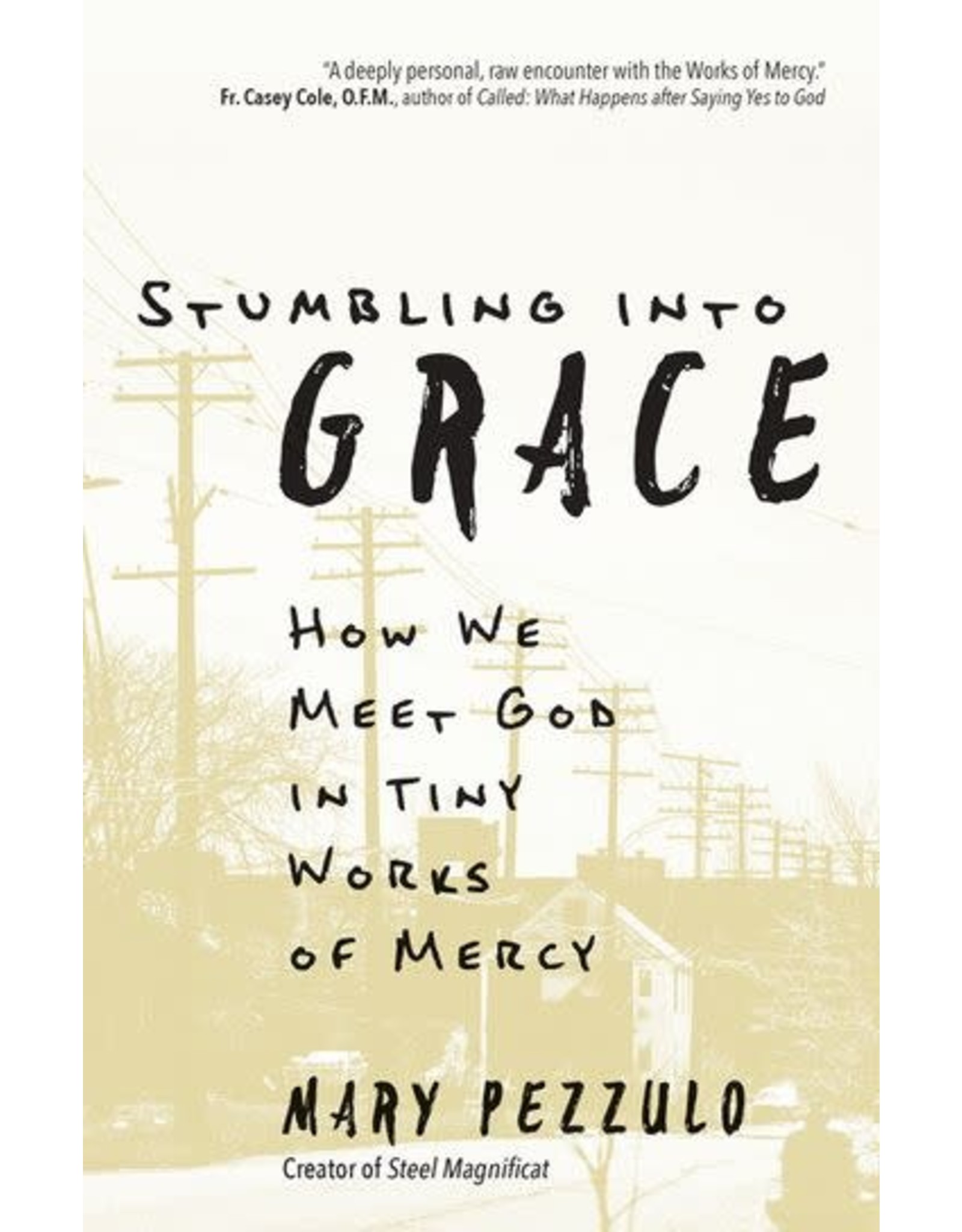 Ave Maria Stumbling Into Grace: How We Meet God in Tiny Works of Mercy