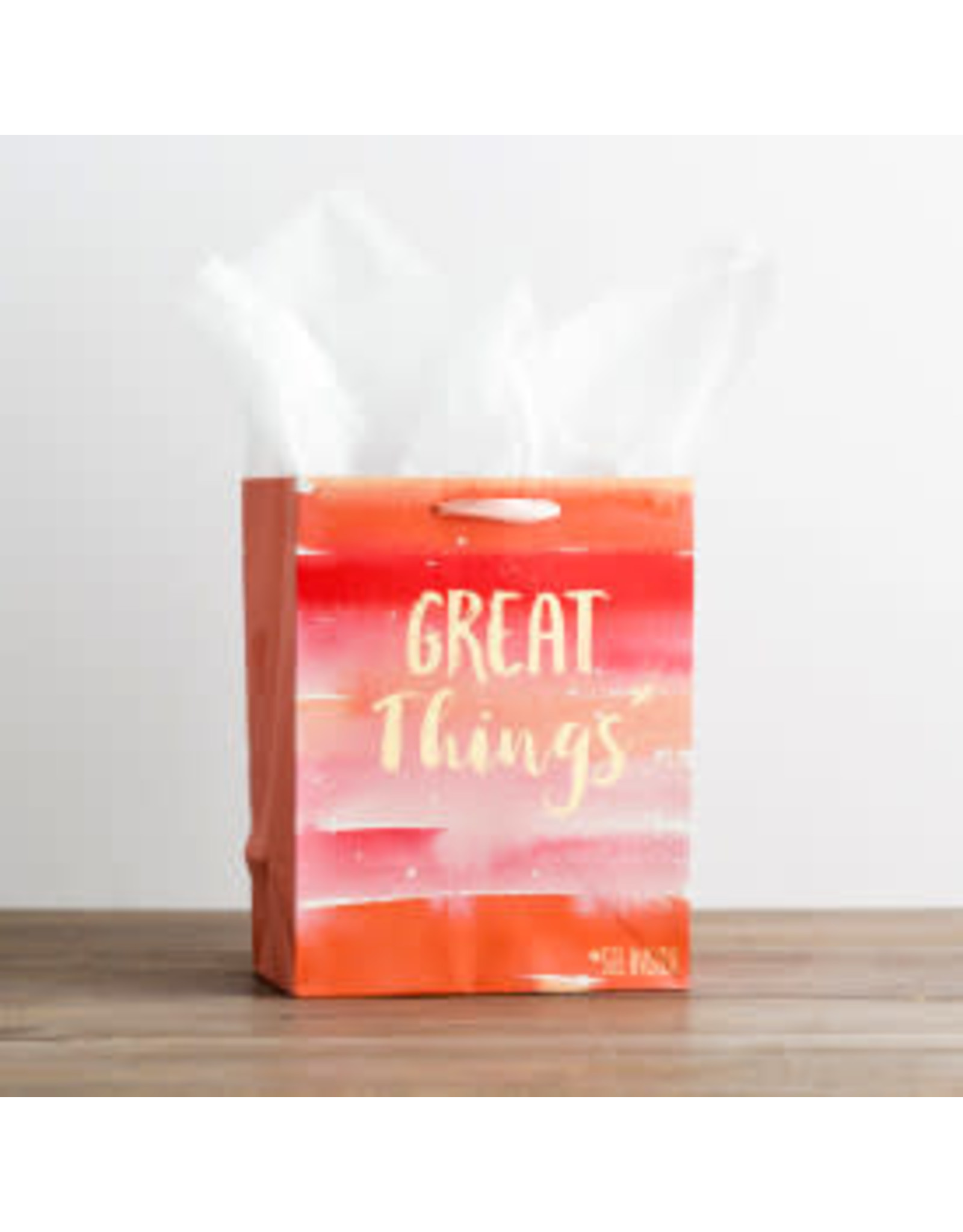 Dayspring Gift Bag - Great Things (Medium)