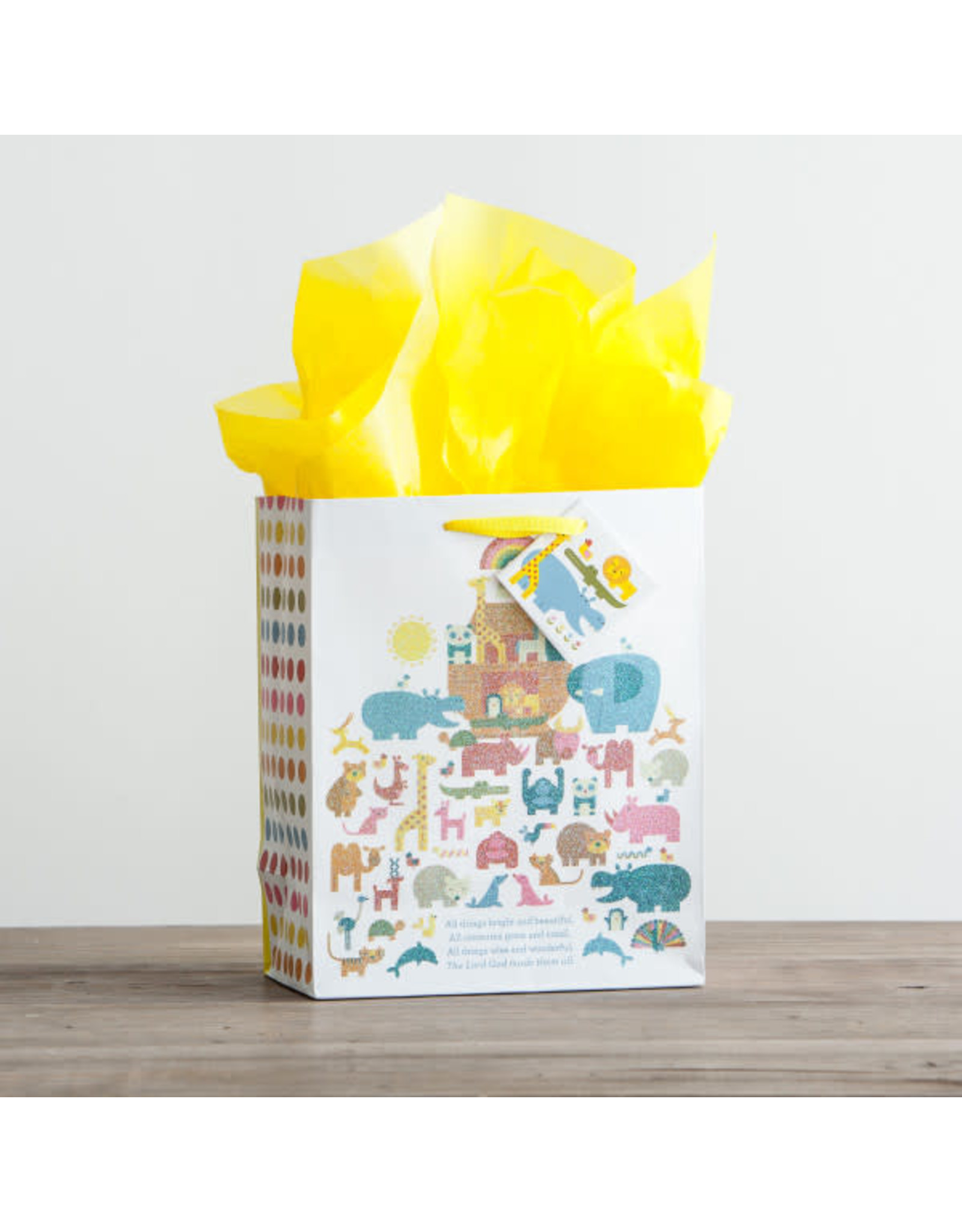 Dayspring Gift Bag - Noah's Ark (Medium)