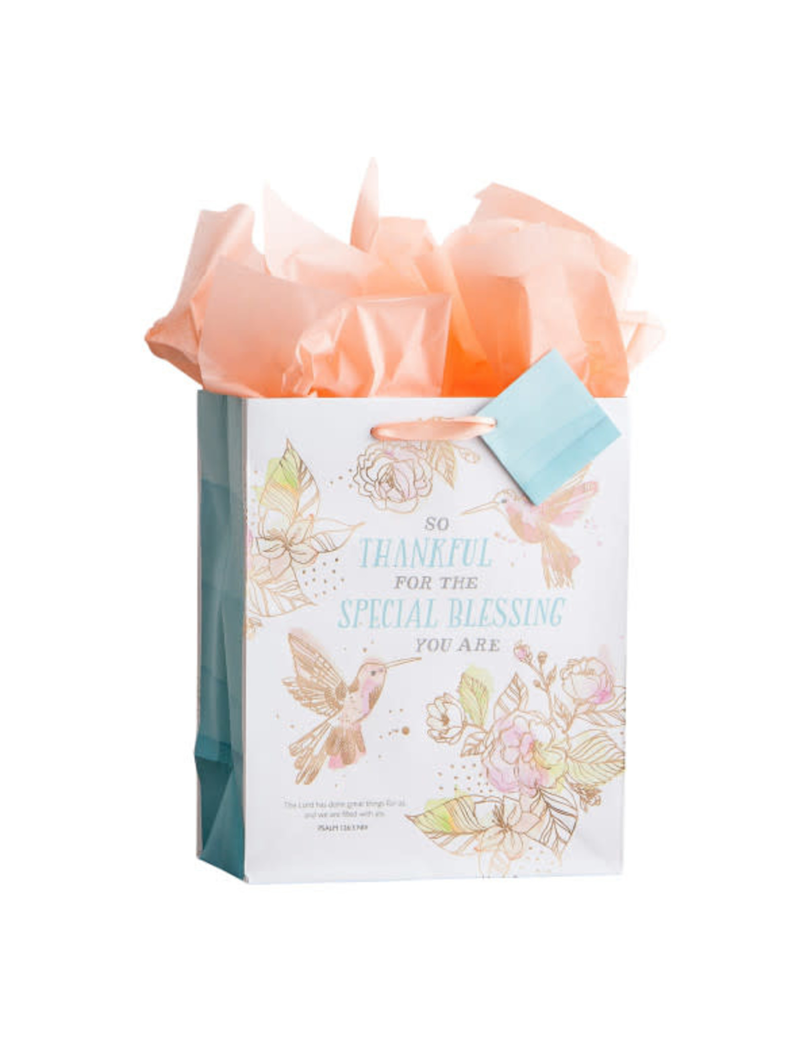 Dayspring Medium Gift Bag - Special Blessing