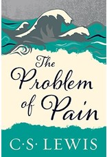 The Problem of Pain