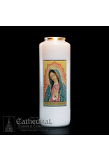 Cathedral Candle 6-Day Our Lady of Guadalupe Glass Candles (12)