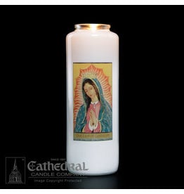 Cathedral Candle 6-Day Our Lady of Guadalupe Glass Candles (12)