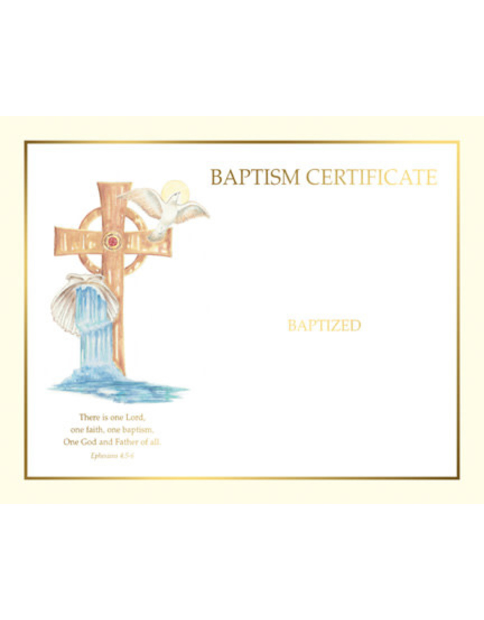 Barton Cotton Certificates - Baptism, Create-Your-Own (50)