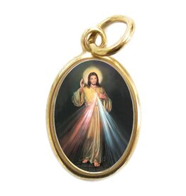 San Francis Divine Mercy Pendant (Color with Gold Border)