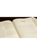 Zondervan NIV Grace & Truth Study Bible, Soft Brown Leather-Look