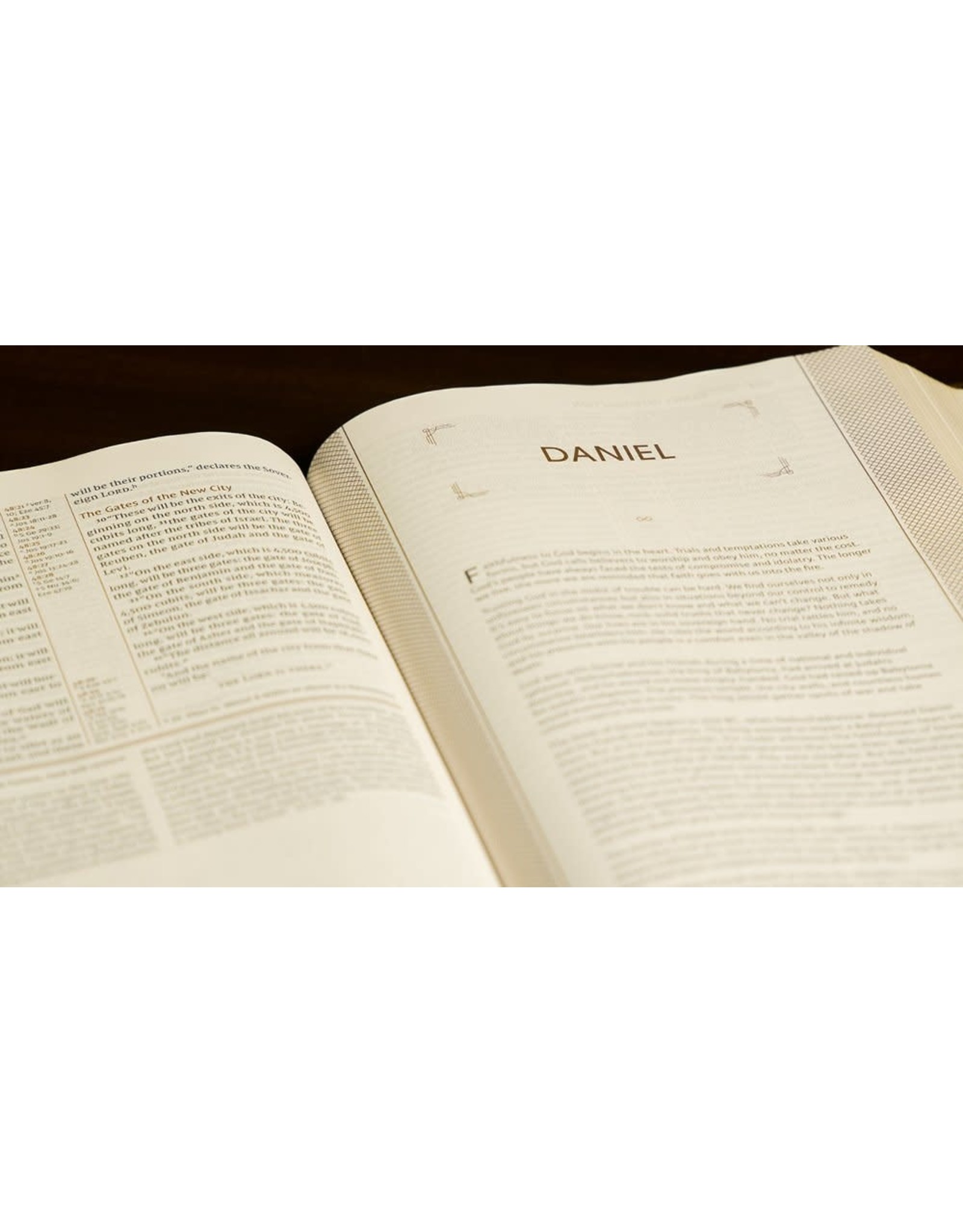 Zondervan NIV Grace & Truth Study Bible, Soft Brown Leather-Look