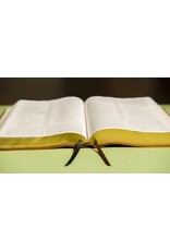 Zondervan NIV Grace & Truth Study Bible, Soft Brown Leather-Look