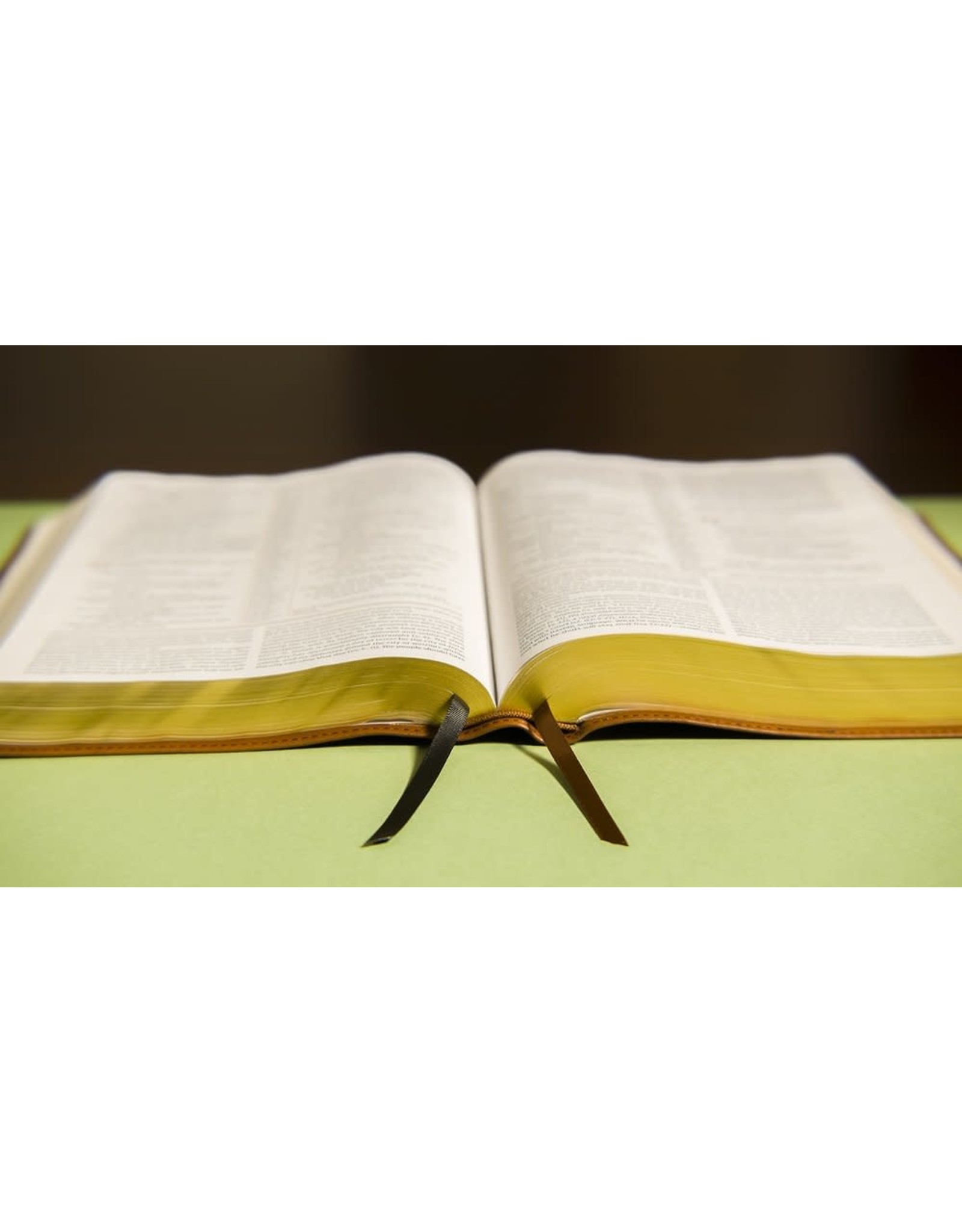 Zondervan NIV Grace & Truth Study Bible, Soft Brown Leather-Look