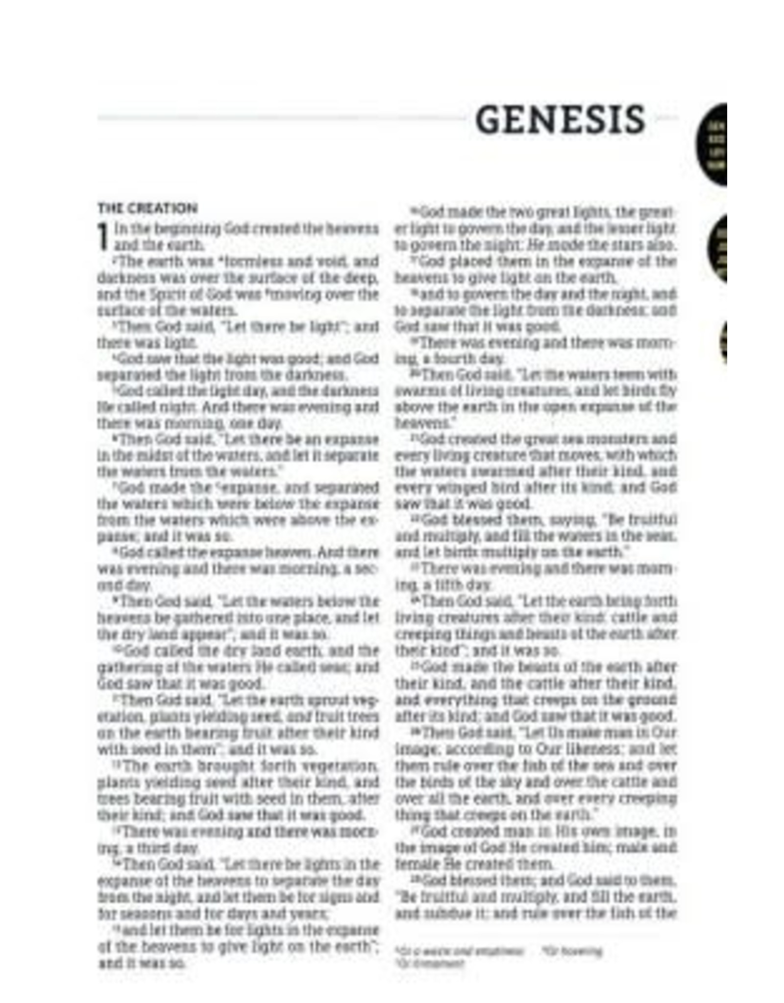 NASB 1995 Large-Print Thinline Bible, Soft Leather-Look Brown (Indexed ...