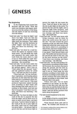 Zondervan NIV Heart of Gold Comfort Print Holy Bible, Hardcover