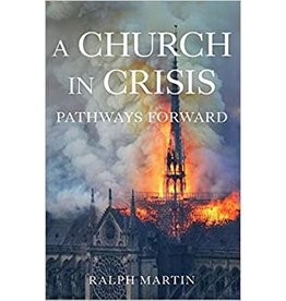 Emmaus Church in Crisis: Pathways Forward