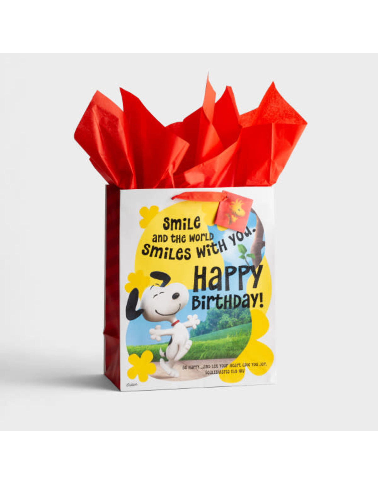 Large Gift Bag - Peanuts Birthday