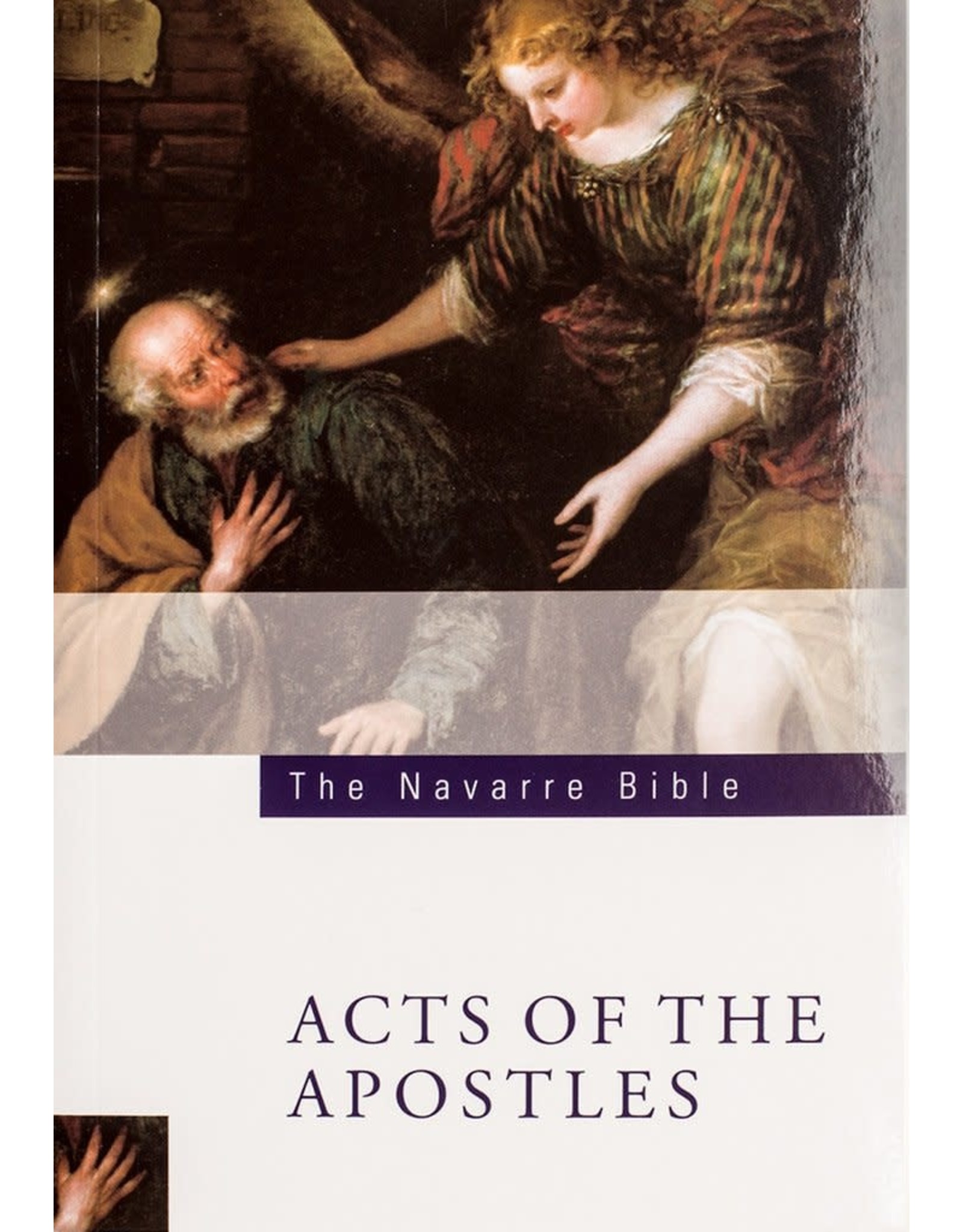 Scepter Navarre Bible - Acts of the Apostles