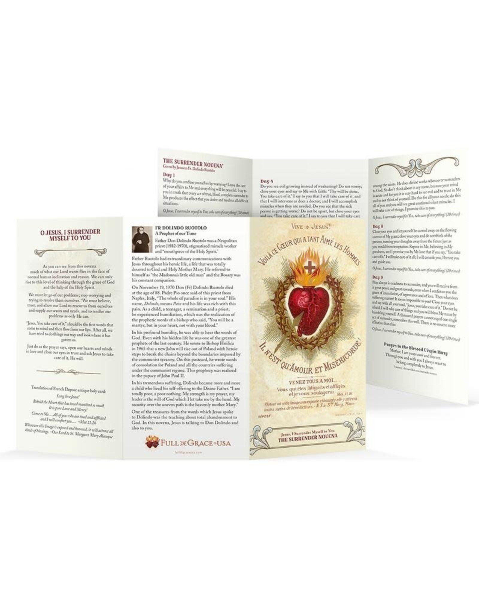 Full of Grace Surrender Novena Trifold Holy Cards - Large Print (8x4.5 Folded)