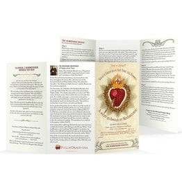 Full of Grace Surrender Novena Trifold Holy Cards - Large Print (8x4.5 Folded)
