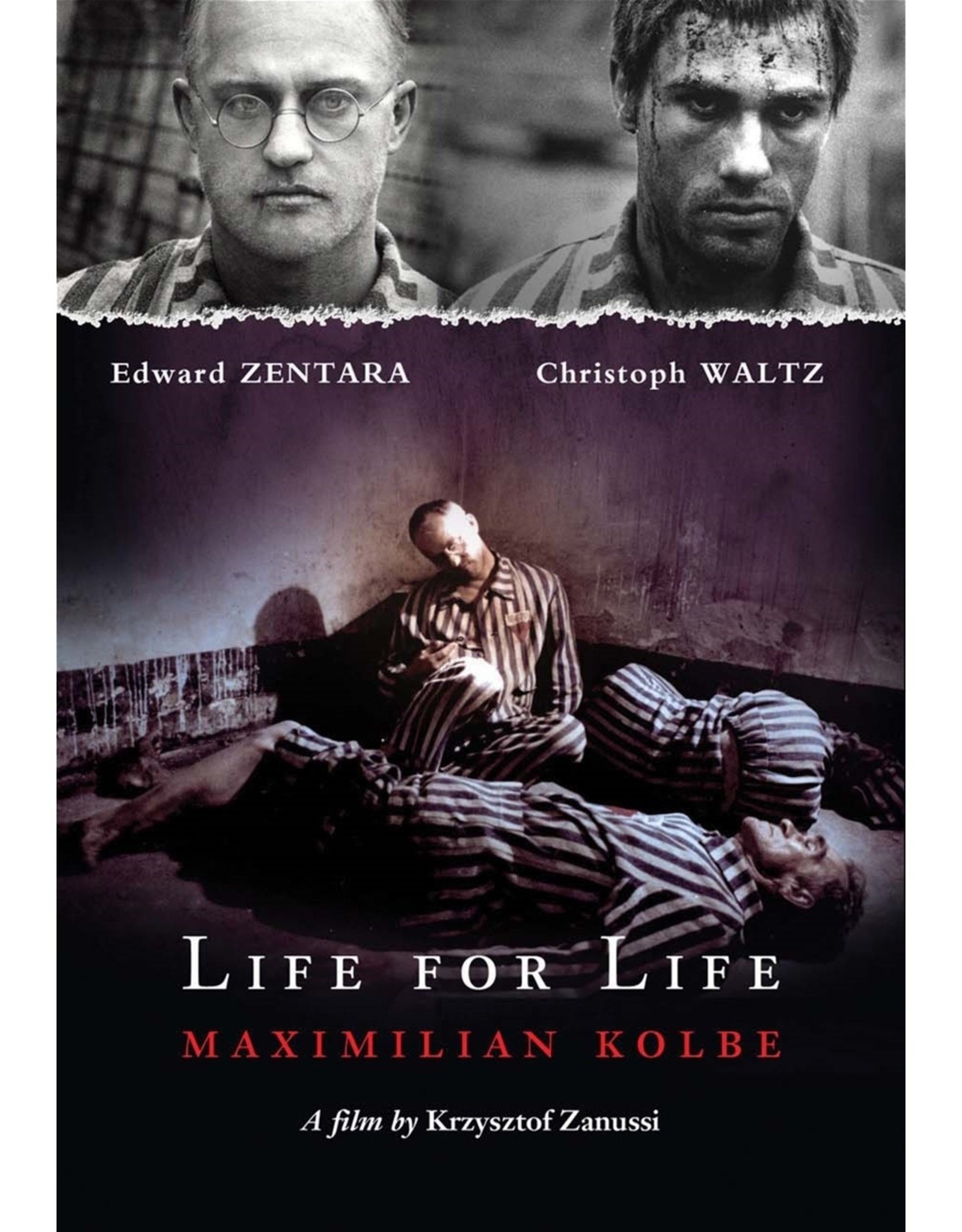 Life for Life - Maximilian Kolbe DVD