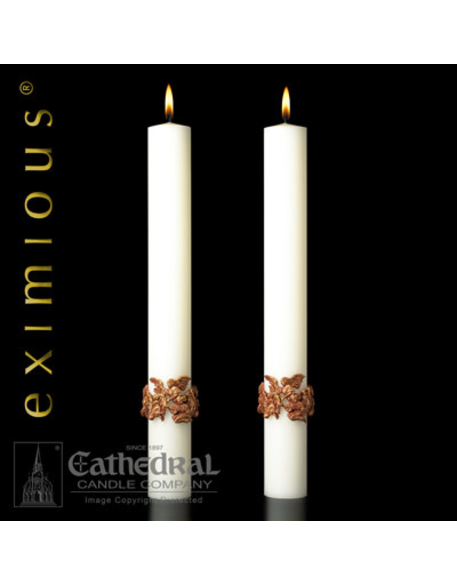 Eximious Mount Olivet Paschal Candle