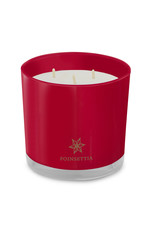 Root Candle - Poinsettia 3-Wick Honeycomb Candle