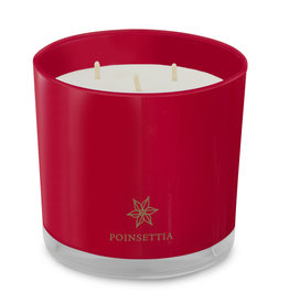 Root Candle - Poinsettia 3-Wick Honeycomb Candle