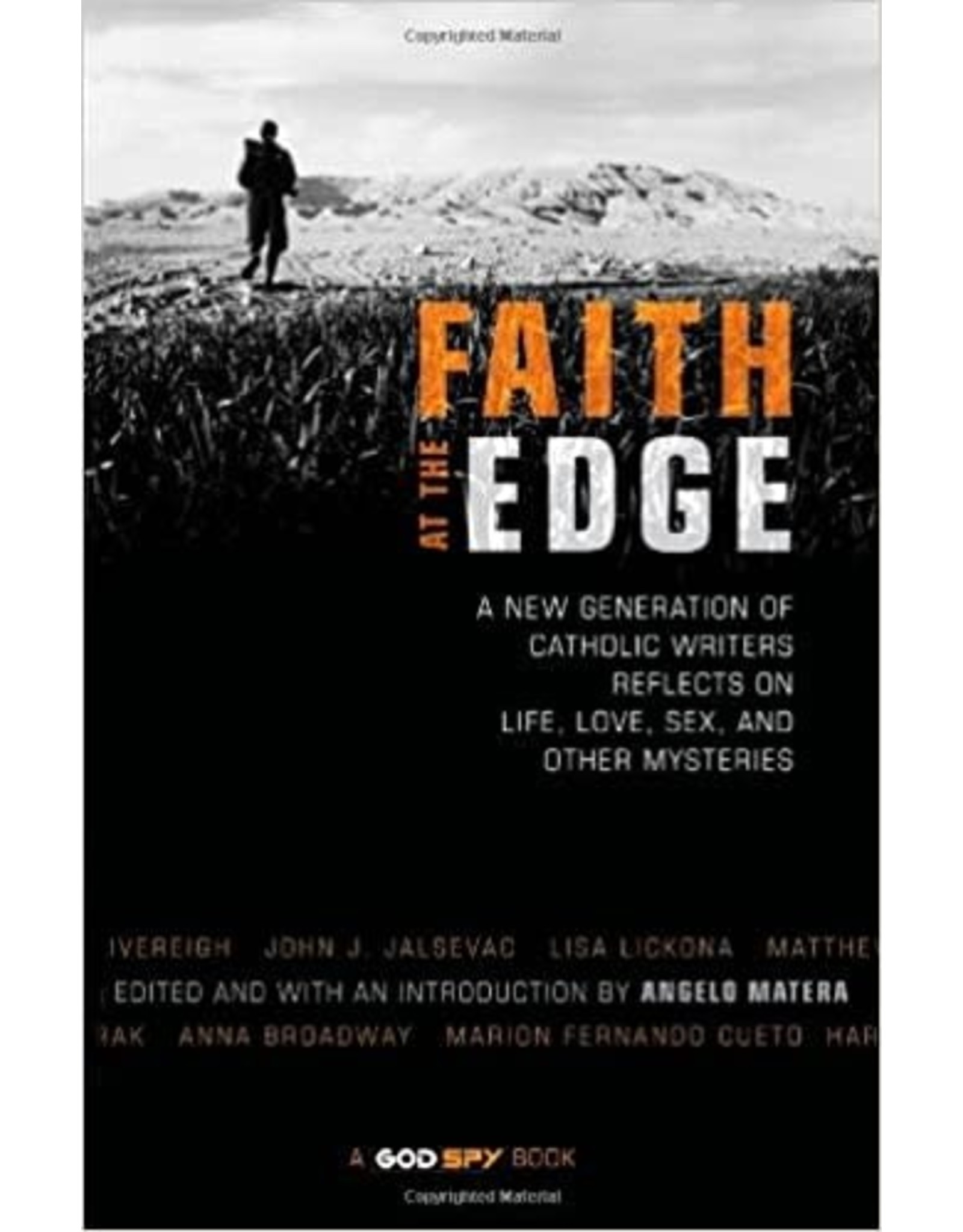 Ave Maria Faith at the Edge: A New Generation of Catholic Writers Reflects on Life, Love, Sex and Other Mysteries