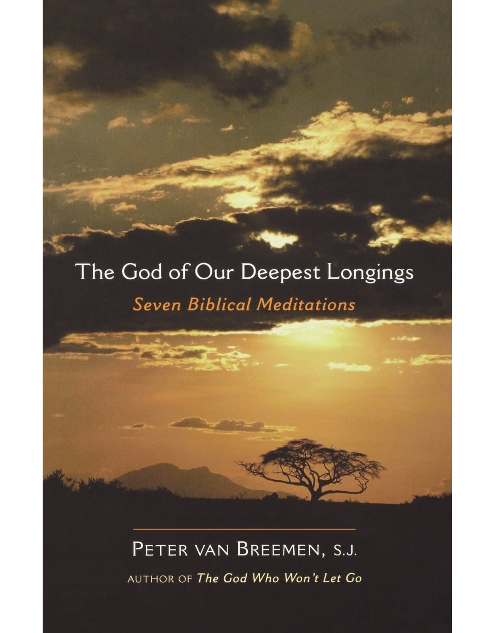 Ave Maria The God of Our Deepest Longings: Seven Biblical Meditations