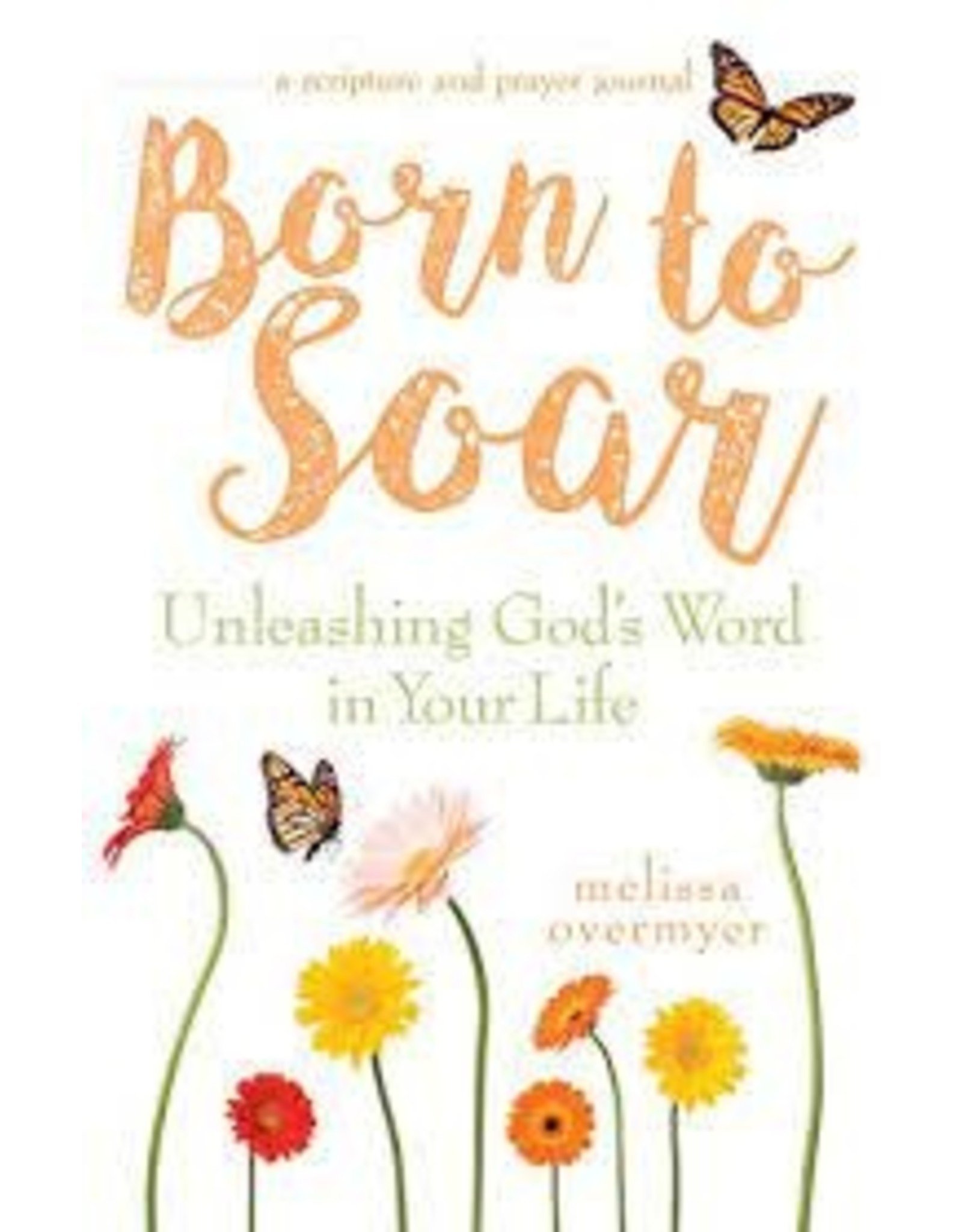 Servant Books Born to Soar: Unleashing God's Word in Your Life oop